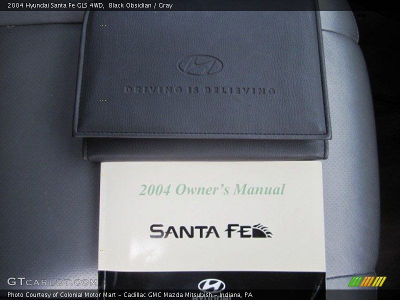 Black Obsidian / Gray 2004 Hyundai Santa Fe GLS 4WD