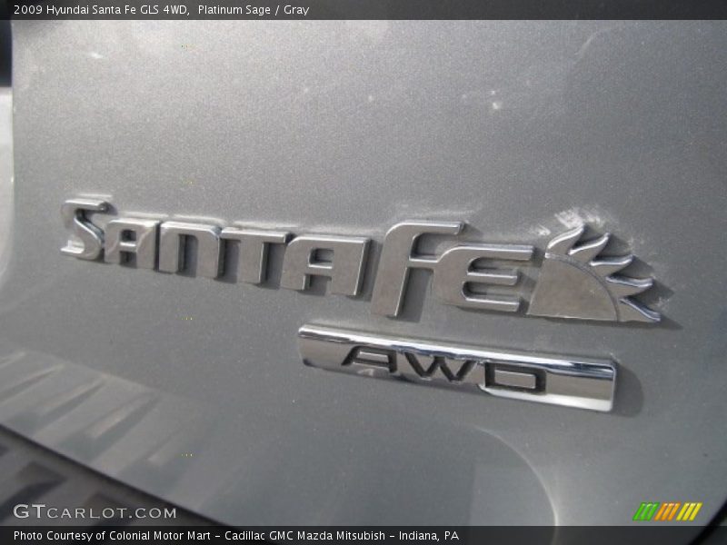 Platinum Sage / Gray 2009 Hyundai Santa Fe GLS 4WD