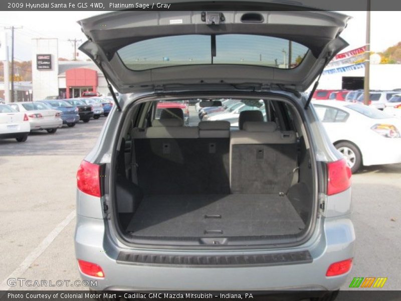 Platinum Sage / Gray 2009 Hyundai Santa Fe GLS 4WD