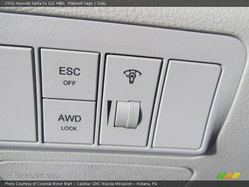 Platinum Sage / Gray 2009 Hyundai Santa Fe GLS 4WD