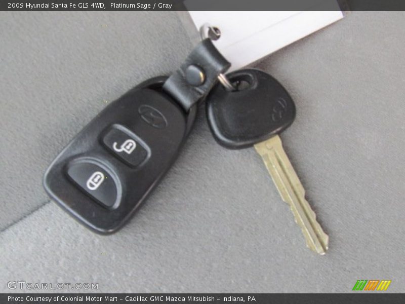 Platinum Sage / Gray 2009 Hyundai Santa Fe GLS 4WD