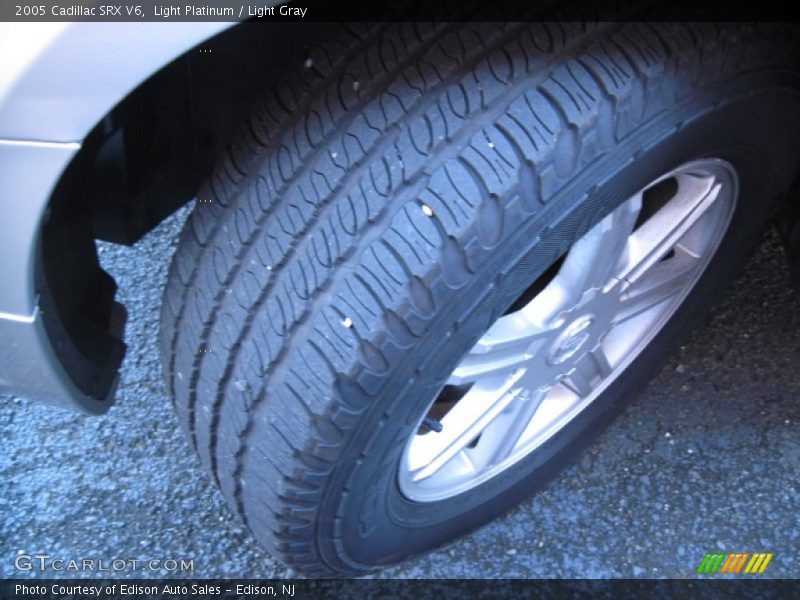 Light Platinum / Light Gray 2005 Cadillac SRX V6