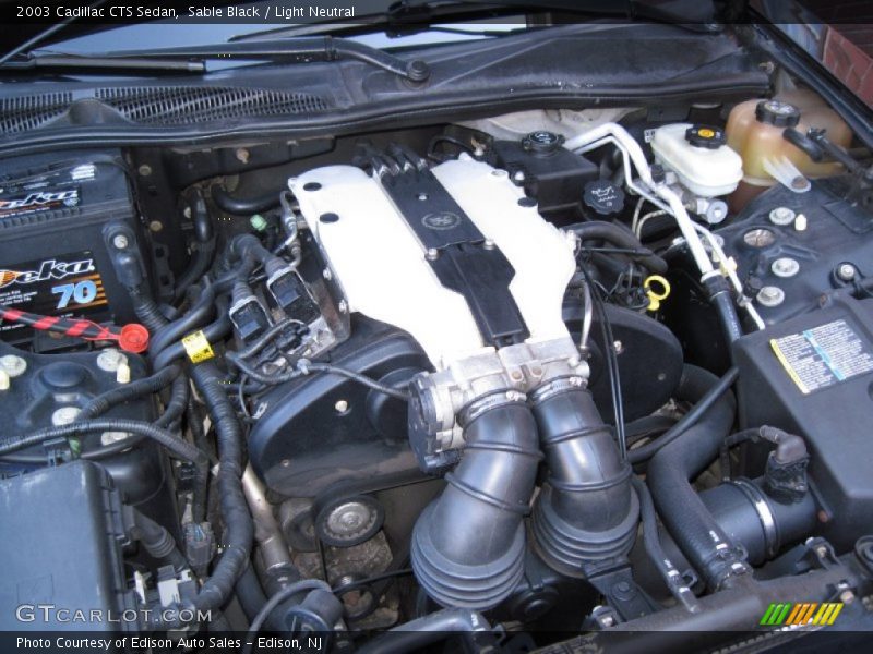 Sable Black / Light Neutral 2003 Cadillac CTS Sedan