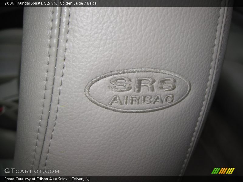 Golden Beige / Beige 2006 Hyundai Sonata GLS V6