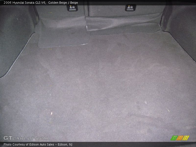 Golden Beige / Beige 2006 Hyundai Sonata GLS V6
