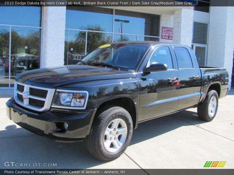 Brilliant Black Crystal Pearl / Dark Slate Gray/Medium Slate Gray 2010 Dodge Dakota Big Horn Crew Cab 4x4