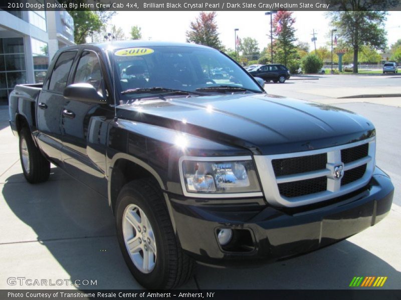 Brilliant Black Crystal Pearl / Dark Slate Gray/Medium Slate Gray 2010 Dodge Dakota Big Horn Crew Cab 4x4