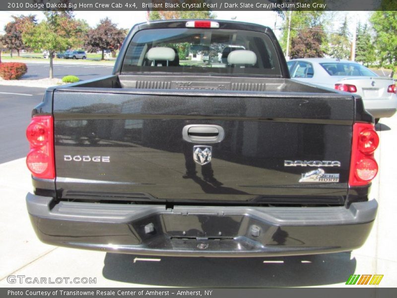 Brilliant Black Crystal Pearl / Dark Slate Gray/Medium Slate Gray 2010 Dodge Dakota Big Horn Crew Cab 4x4