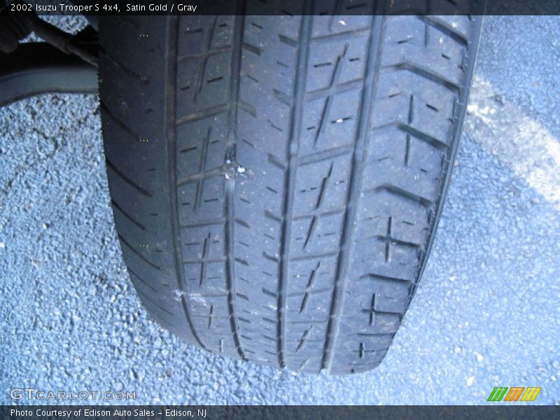Satin Gold / Gray 2002 Isuzu Trooper S 4x4