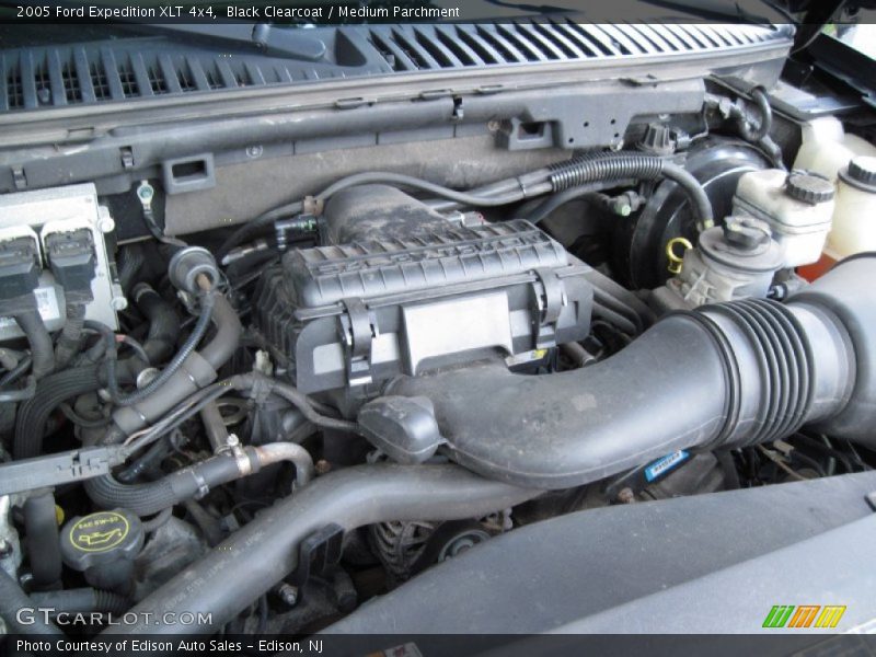Black Clearcoat / Medium Parchment 2005 Ford Expedition XLT 4x4