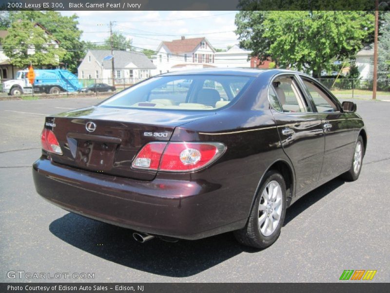 Black Garnet Pearl / Ivory 2002 Lexus ES 300