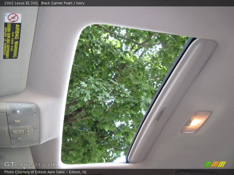 Black Garnet Pearl / Ivory 2002 Lexus ES 300