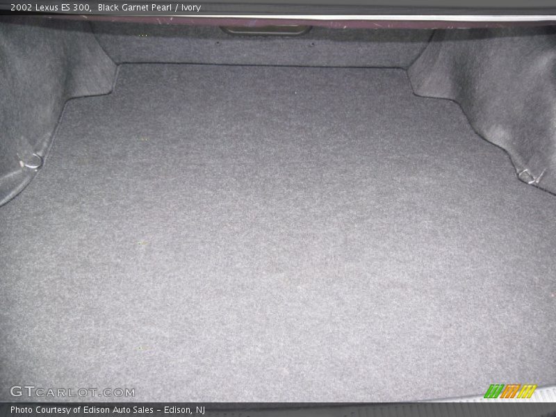 Black Garnet Pearl / Ivory 2002 Lexus ES 300