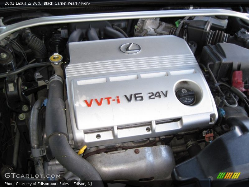 Black Garnet Pearl / Ivory 2002 Lexus ES 300