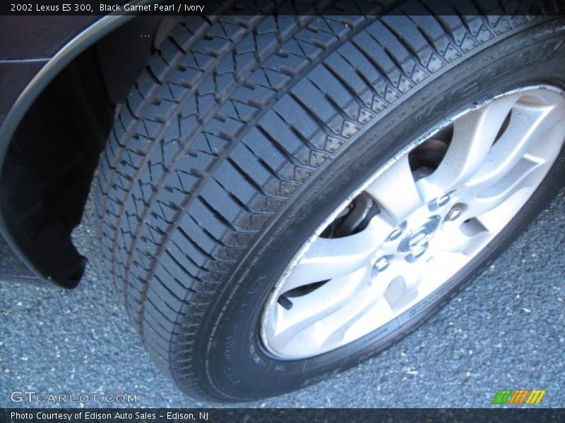 Black Garnet Pearl / Ivory 2002 Lexus ES 300