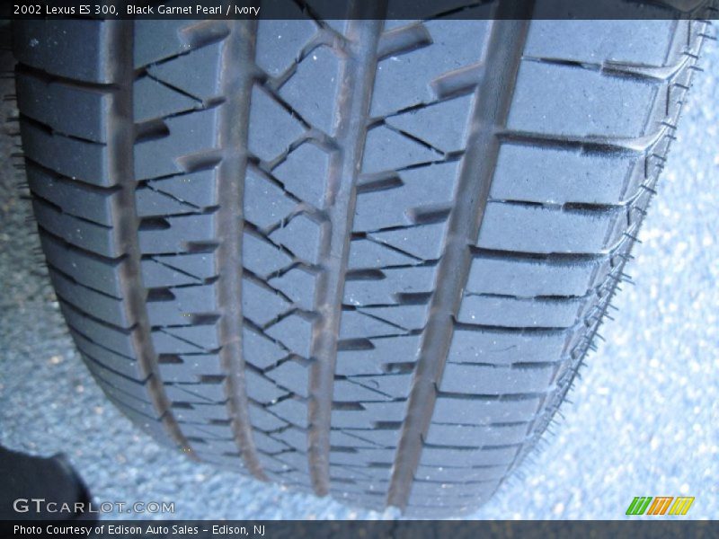 Black Garnet Pearl / Ivory 2002 Lexus ES 300