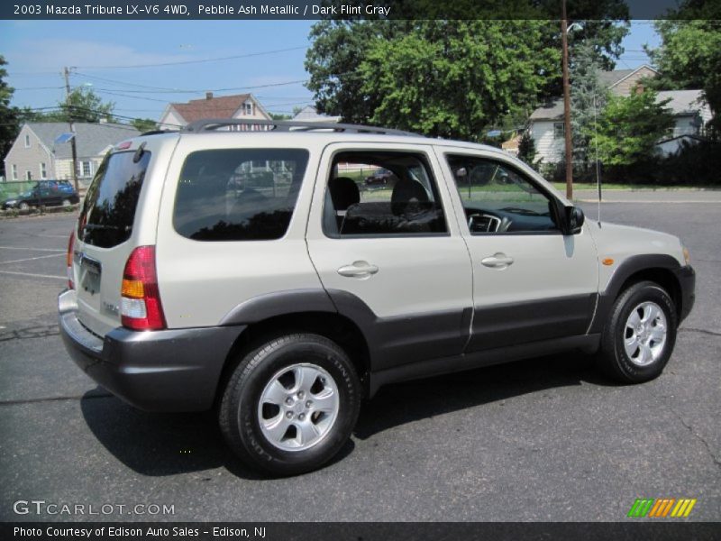 Pebble Ash Metallic / Dark Flint Gray 2003 Mazda Tribute LX-V6 4WD