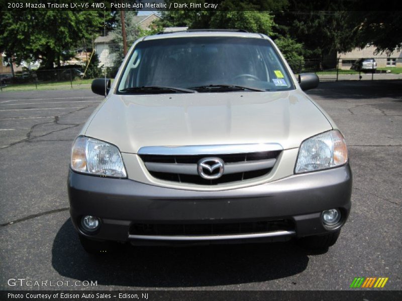 Pebble Ash Metallic / Dark Flint Gray 2003 Mazda Tribute LX-V6 4WD