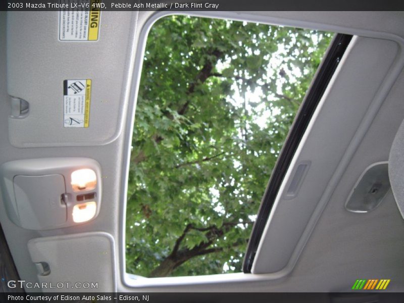 Pebble Ash Metallic / Dark Flint Gray 2003 Mazda Tribute LX-V6 4WD