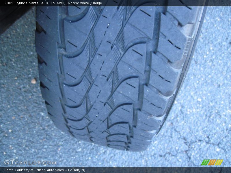 Nordic White / Beige 2005 Hyundai Santa Fe LX 3.5 4WD