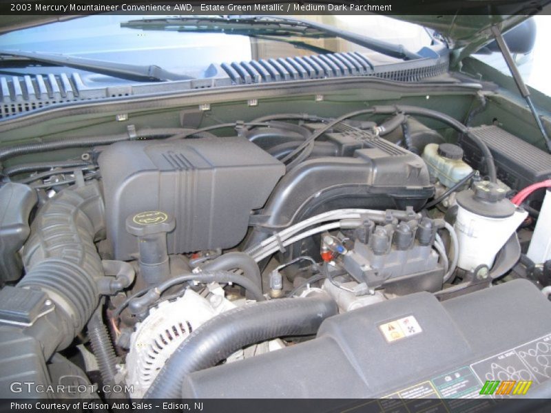 Estate Green Metallic / Medium Dark Parchment 2003 Mercury Mountaineer Convenience AWD