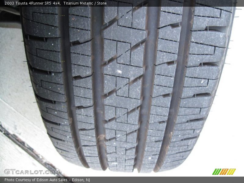 Titanium Metallic / Stone 2003 Toyota 4Runner SR5 4x4