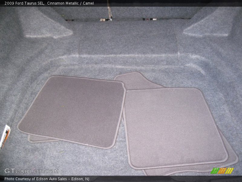 Cinnamon Metallic / Camel 2009 Ford Taurus SEL