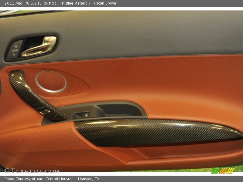 Door Panel of 2011 R8 5.2 FSI quattro