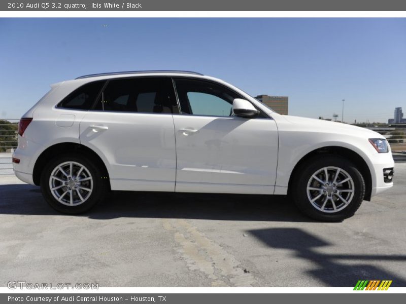 Ibis White / Black 2010 Audi Q5 3.2 quattro