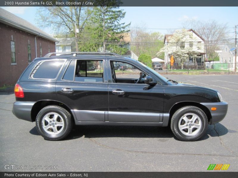 Black Obsidian / Gray 2003 Hyundai Santa Fe GLS