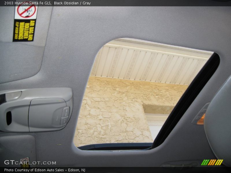 Black Obsidian / Gray 2003 Hyundai Santa Fe GLS