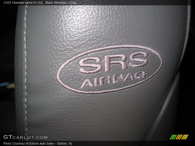 Black Obsidian / Gray 2003 Hyundai Santa Fe GLS