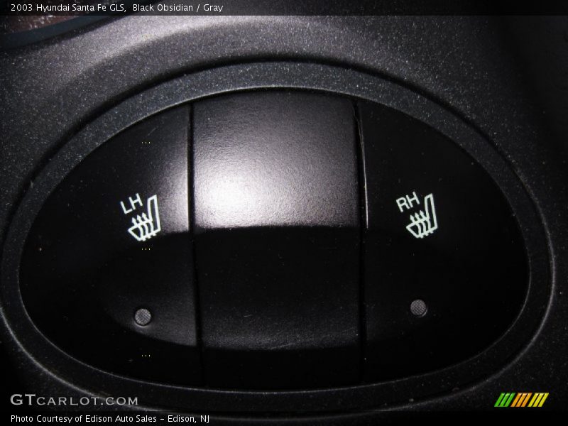 Black Obsidian / Gray 2003 Hyundai Santa Fe GLS