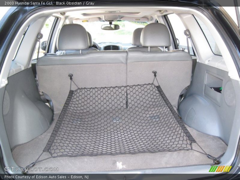 Black Obsidian / Gray 2003 Hyundai Santa Fe GLS