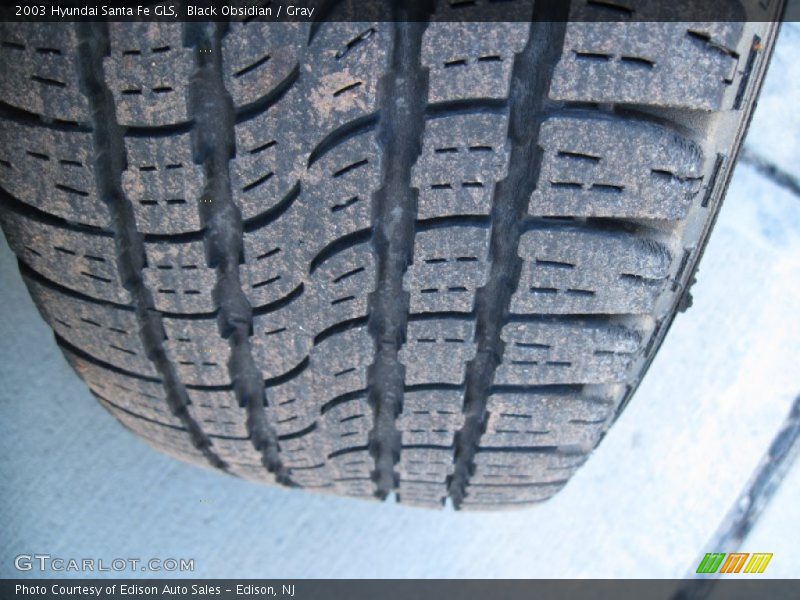 Black Obsidian / Gray 2003 Hyundai Santa Fe GLS