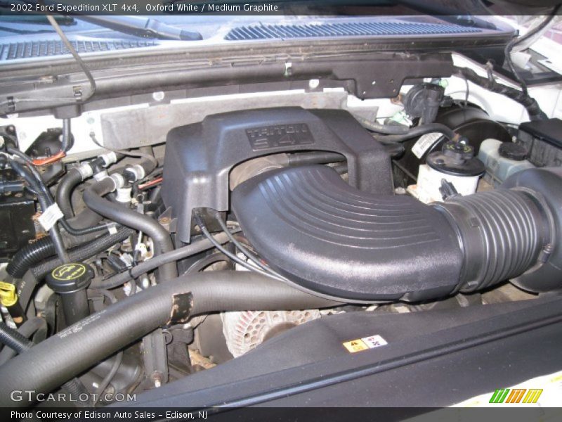 Oxford White / Medium Graphite 2002 Ford Expedition XLT 4x4