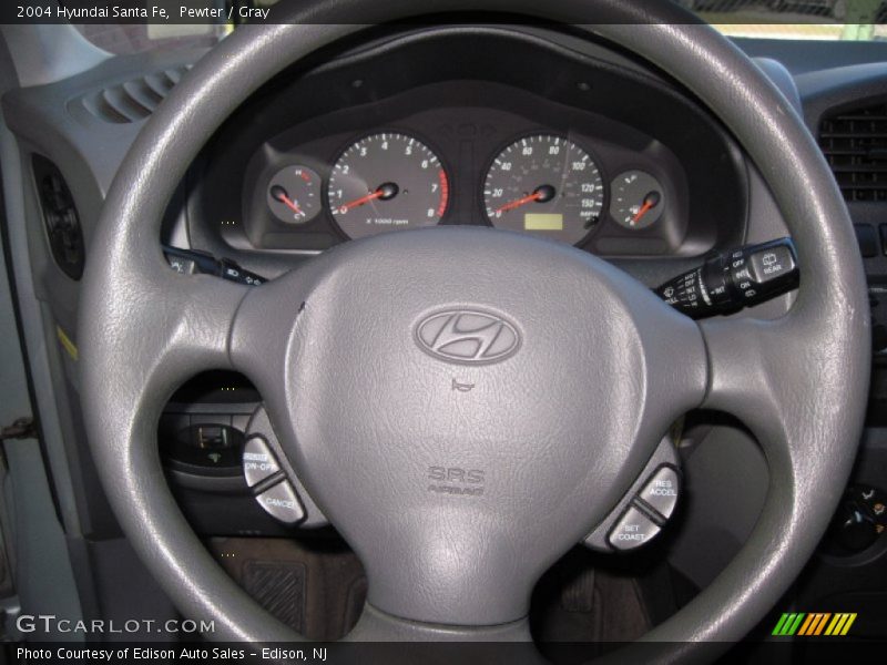Pewter / Gray 2004 Hyundai Santa Fe