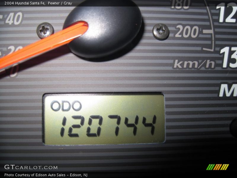 Pewter / Gray 2004 Hyundai Santa Fe