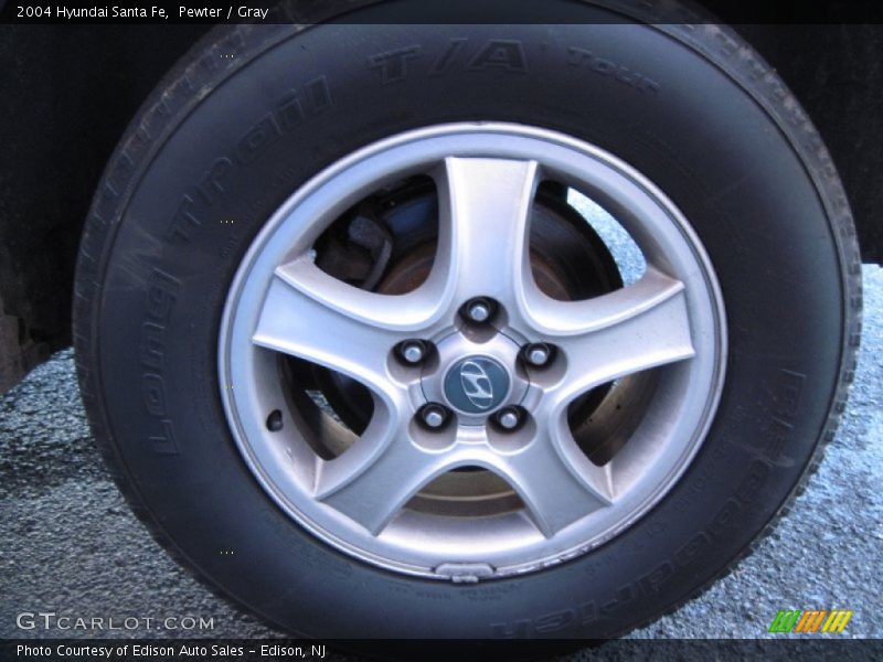 Pewter / Gray 2004 Hyundai Santa Fe