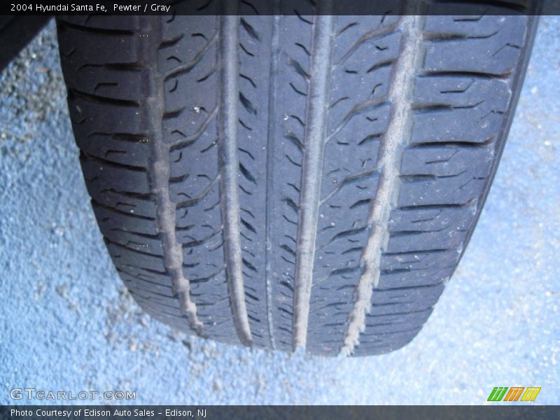 Pewter / Gray 2004 Hyundai Santa Fe