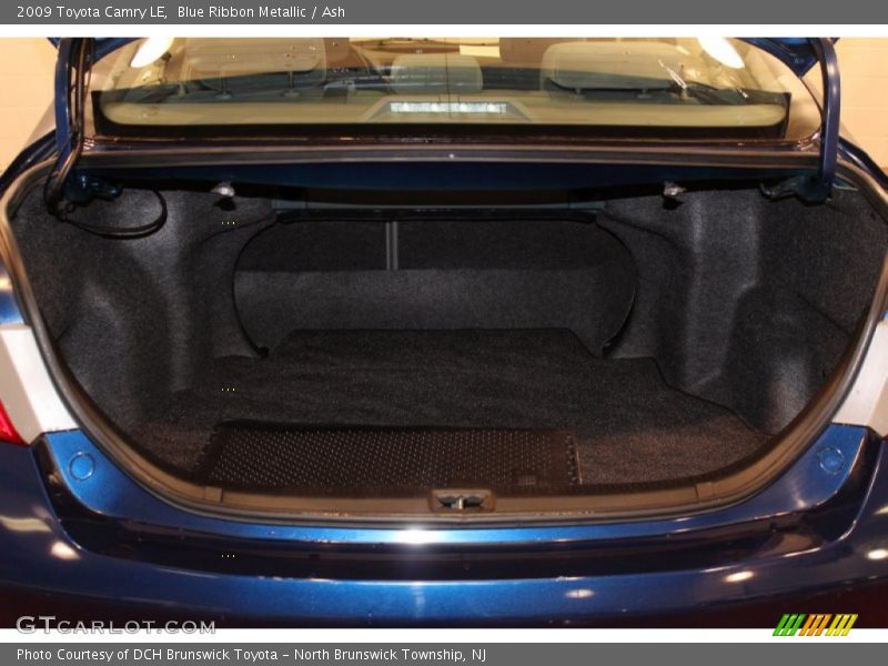 Blue Ribbon Metallic / Ash 2009 Toyota Camry LE