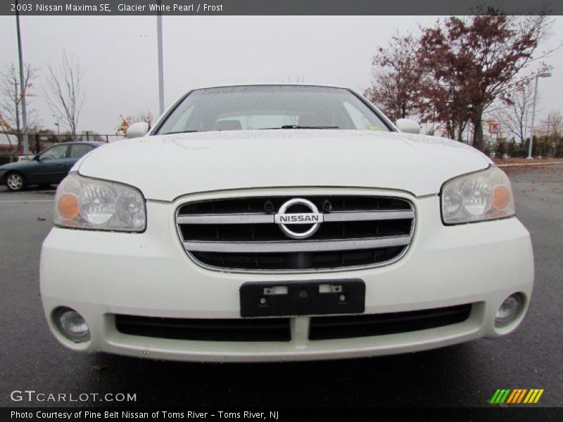 Glacier White Pearl / Frost 2003 Nissan Maxima SE