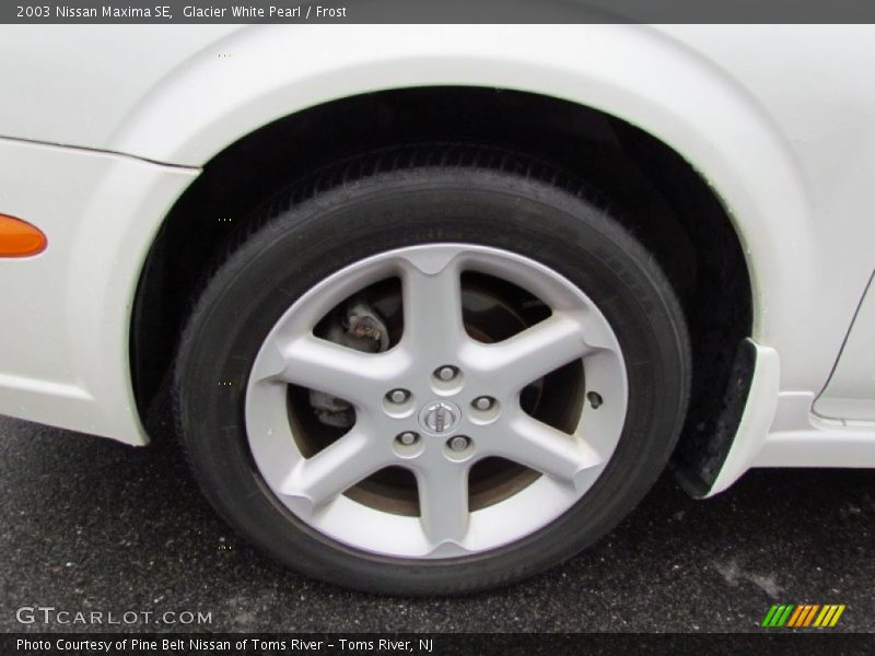 Glacier White Pearl / Frost 2003 Nissan Maxima SE