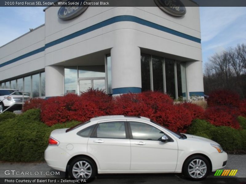 White Suede / Charcoal Black 2010 Ford Focus SEL Sedan