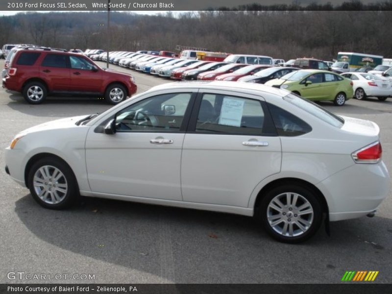 White Suede / Charcoal Black 2010 Ford Focus SEL Sedan