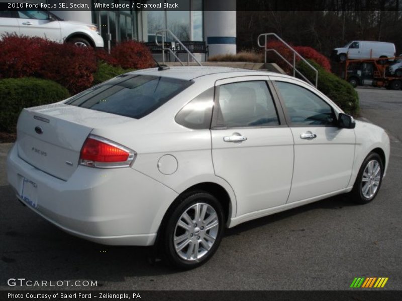 White Suede / Charcoal Black 2010 Ford Focus SEL Sedan