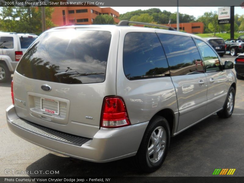 Silver Birch Metallic / Flint Grey 2006 Ford Freestar SEL