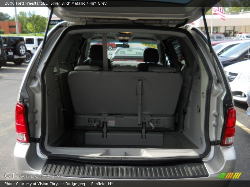 Silver Birch Metallic / Flint Grey 2006 Ford Freestar SEL