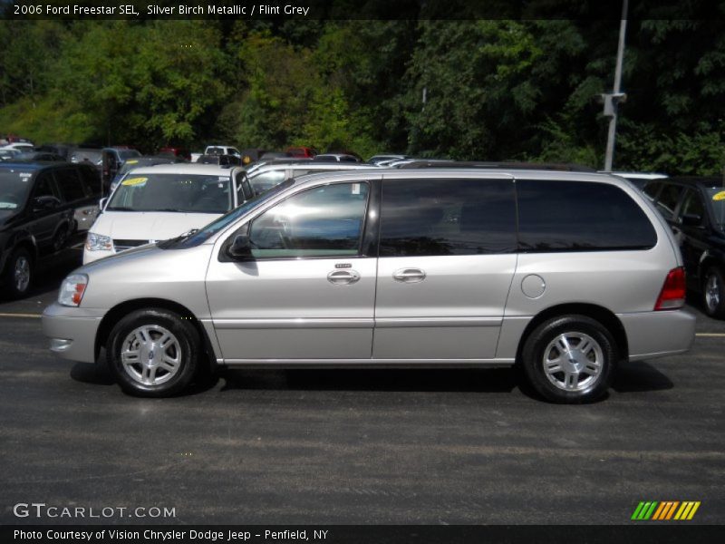 Silver Birch Metallic / Flint Grey 2006 Ford Freestar SEL