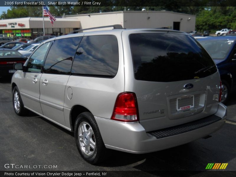 Silver Birch Metallic / Flint Grey 2006 Ford Freestar SEL